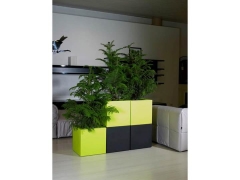 Kube